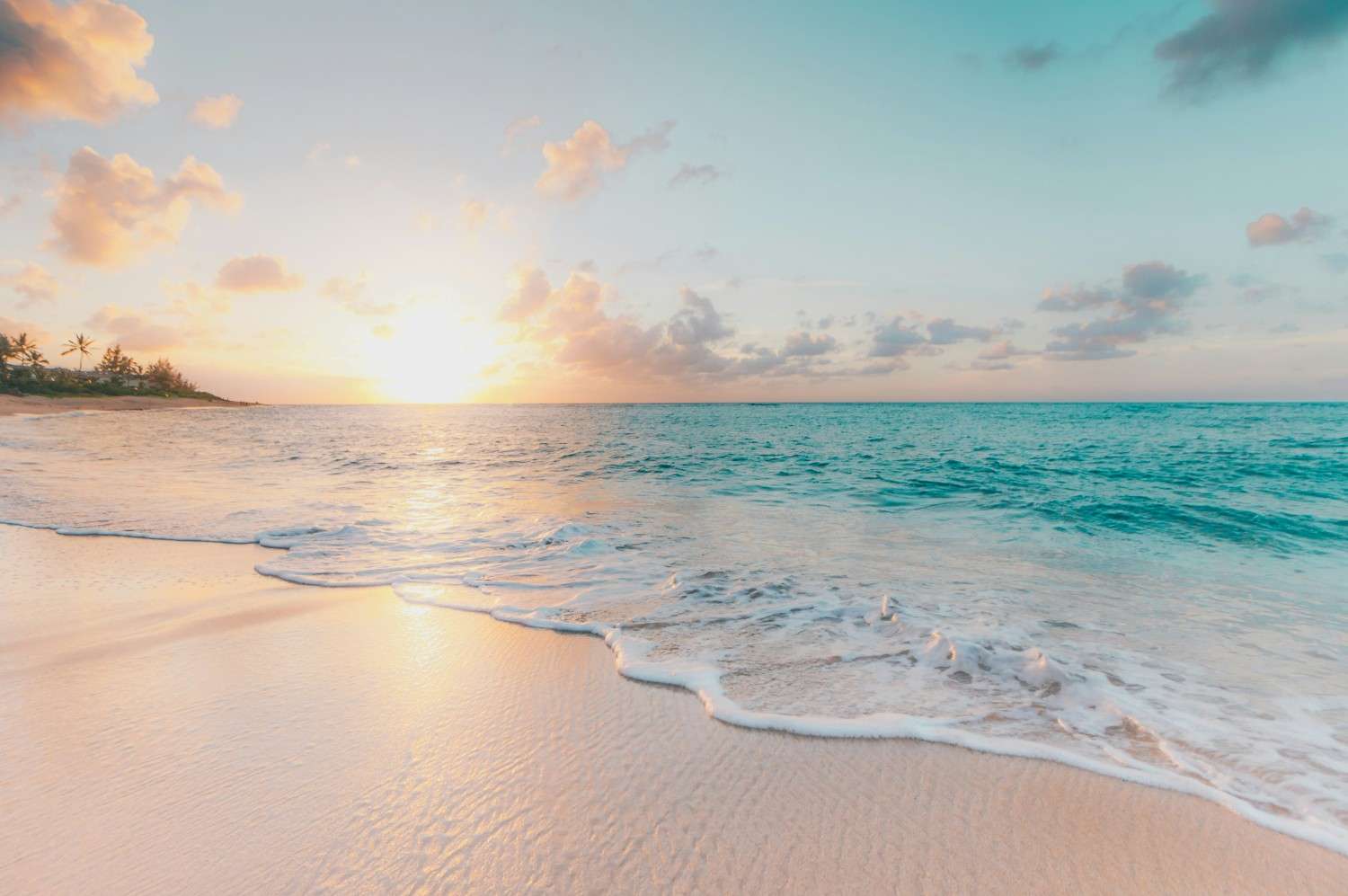 The Future of Travel: Trends You Should Know About