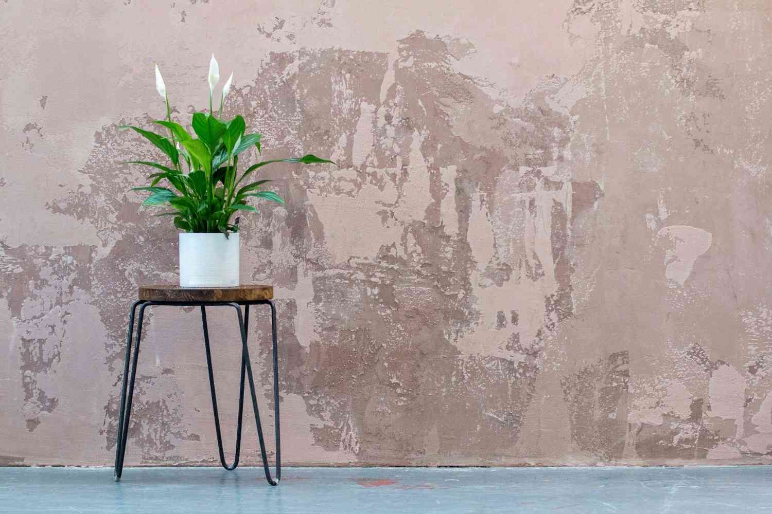 Modern Sleigh Bed