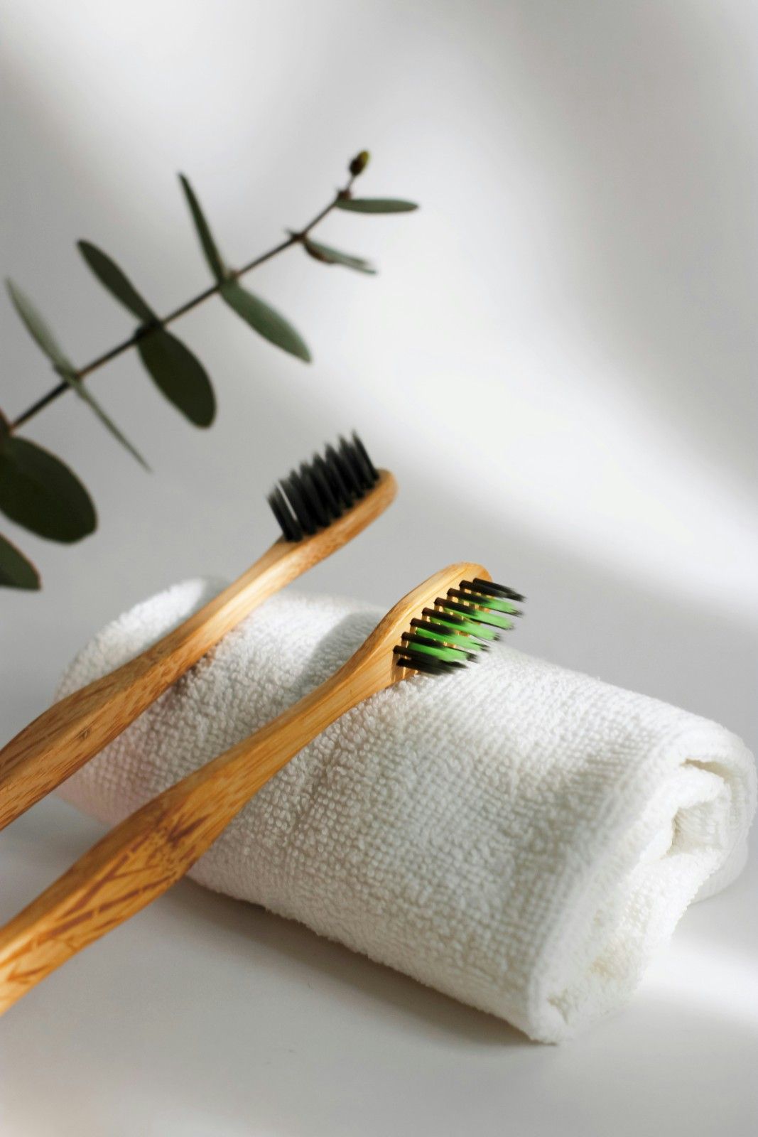 Beginner Skincare Kit