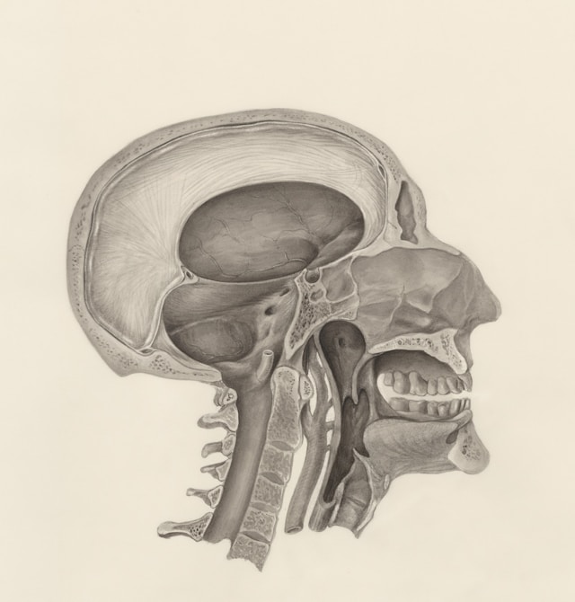 Otology & Neurotology