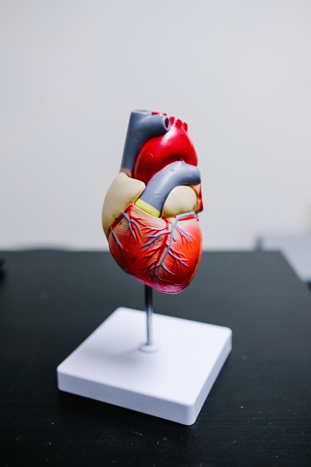 Cardiology