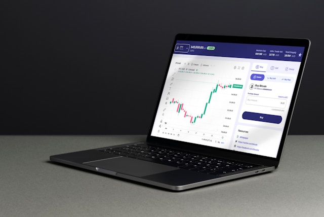 Investment Simulation Tools
