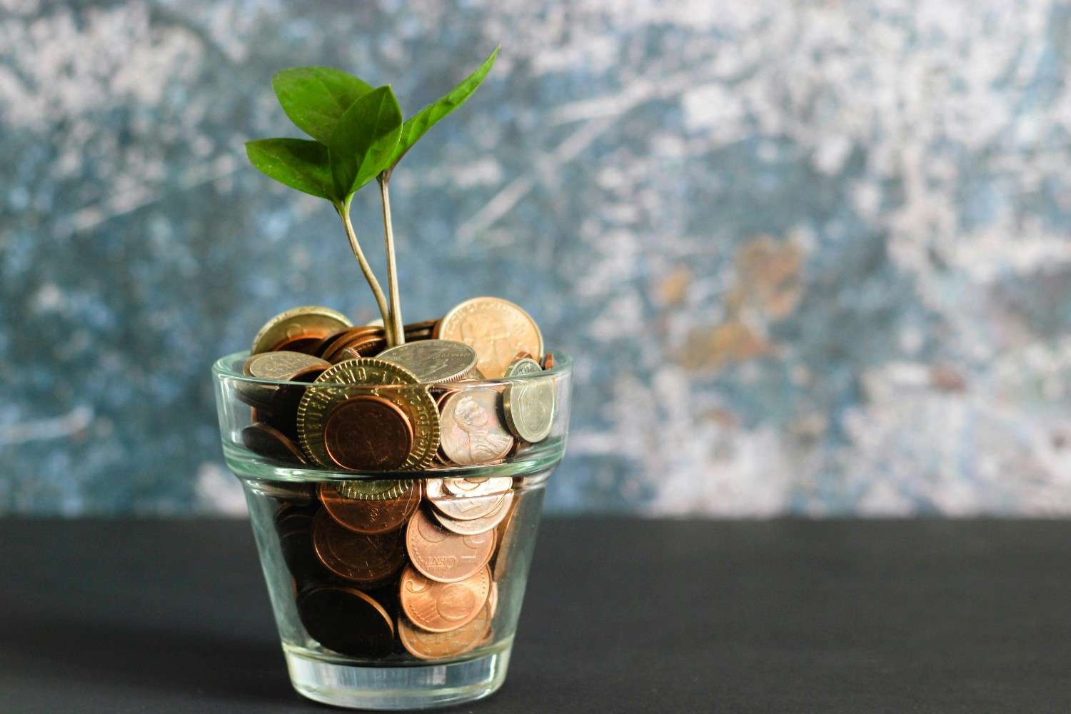 Understanding Taxes: How to Maximize Your Tax Returns
