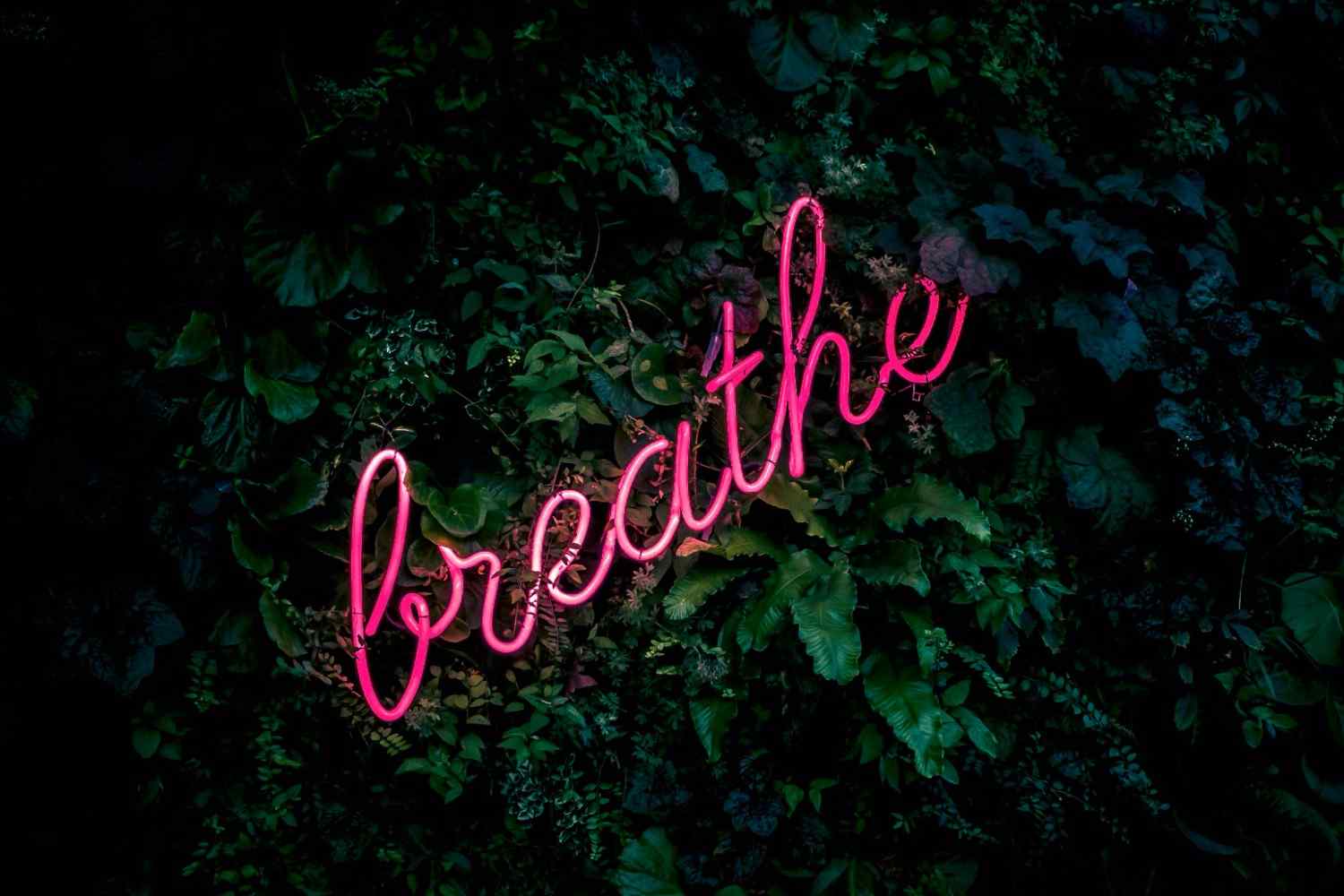 The Power of Positive Thinking for Your Health