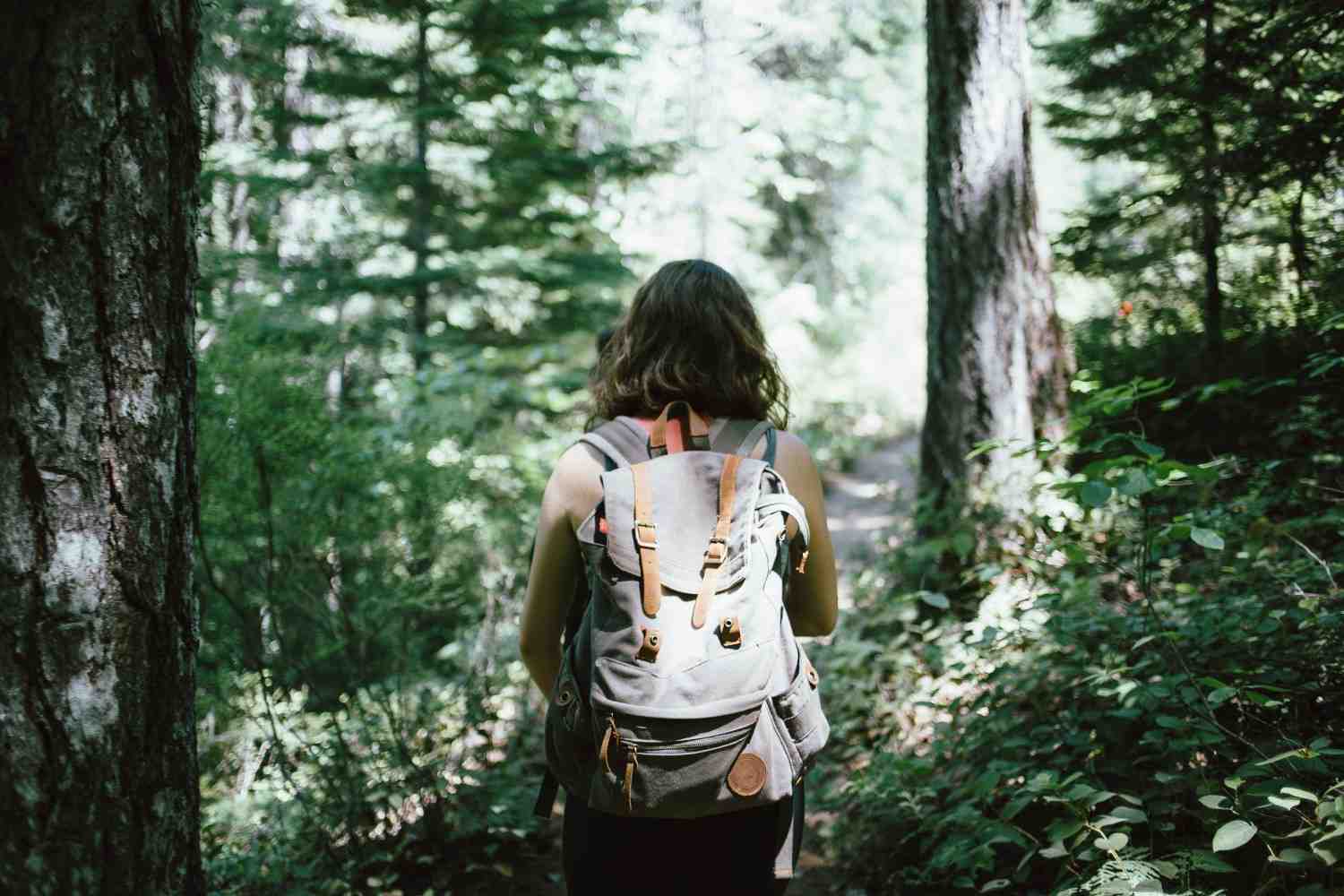 The Future of Travel: Trends You Should Know About