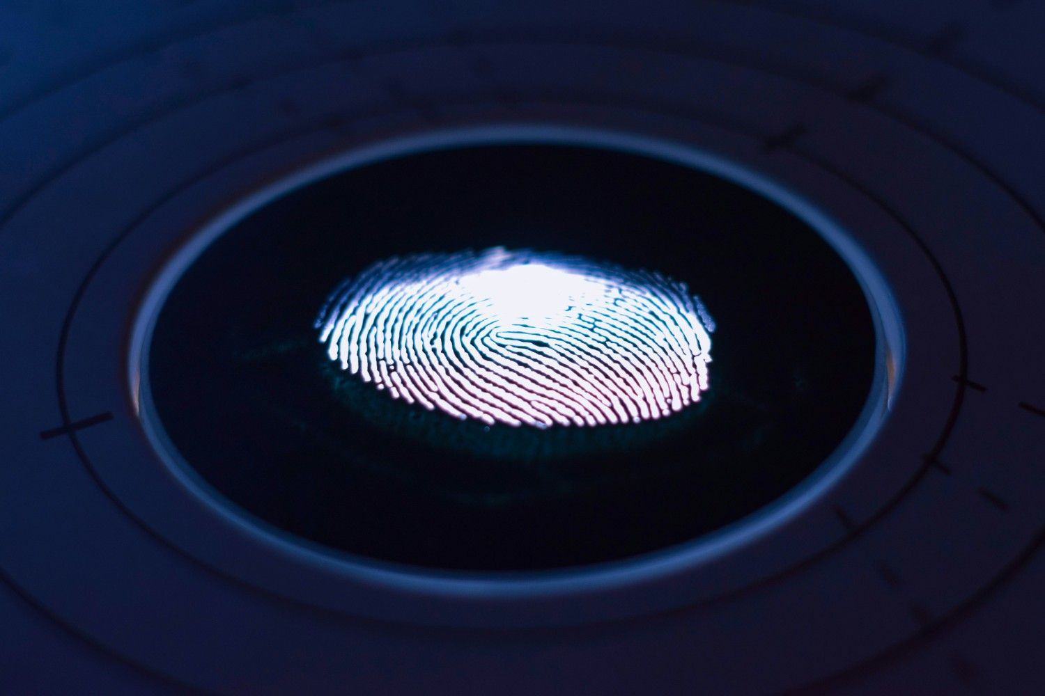 Cybersecurity in 2025: Protecting Your Data in a Digital World