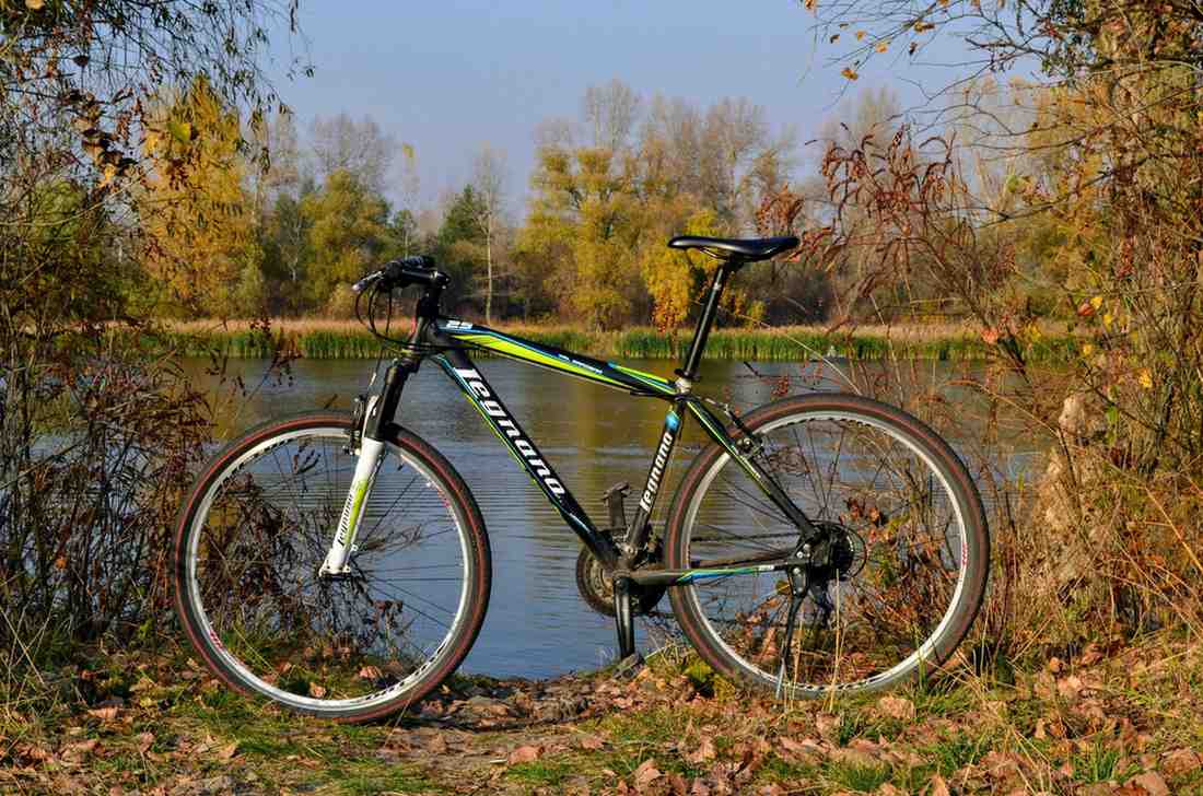 Rockhopper Elite 29