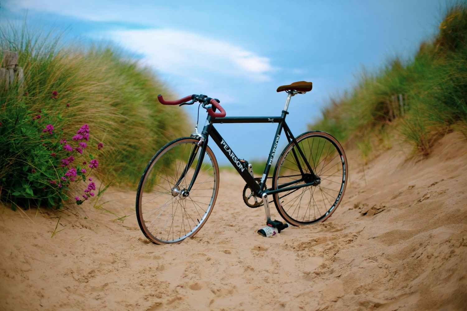 Talon 2 29er
