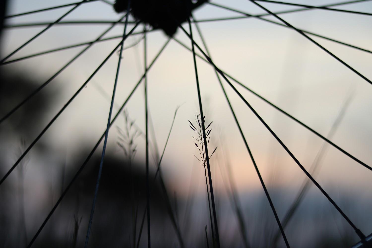 Domane SL 5 Disc