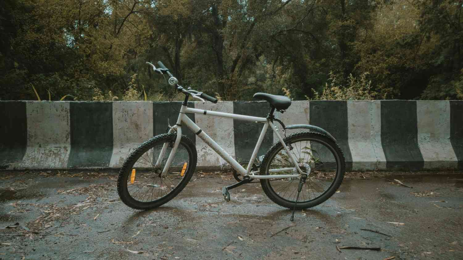 Teammachine SLR Six