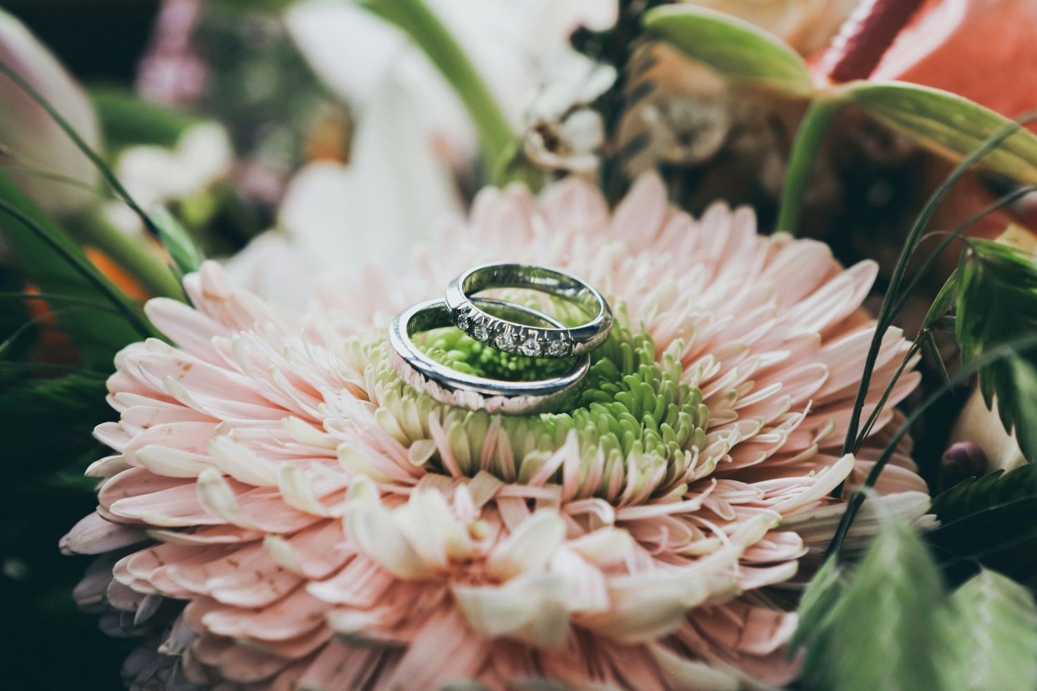 Discover Our Latest Gold Jewelry Collection