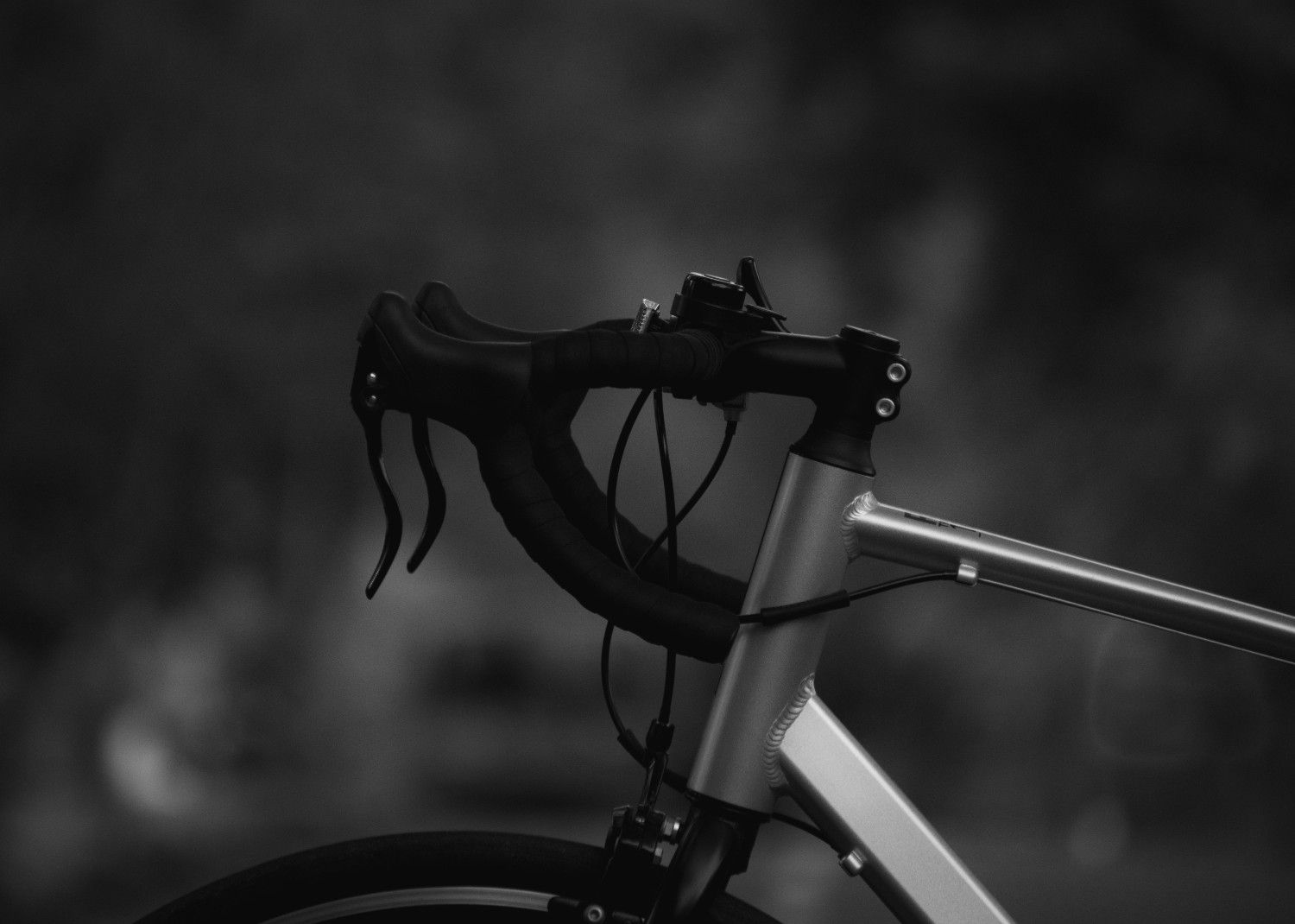 Icarus V2 MIPS