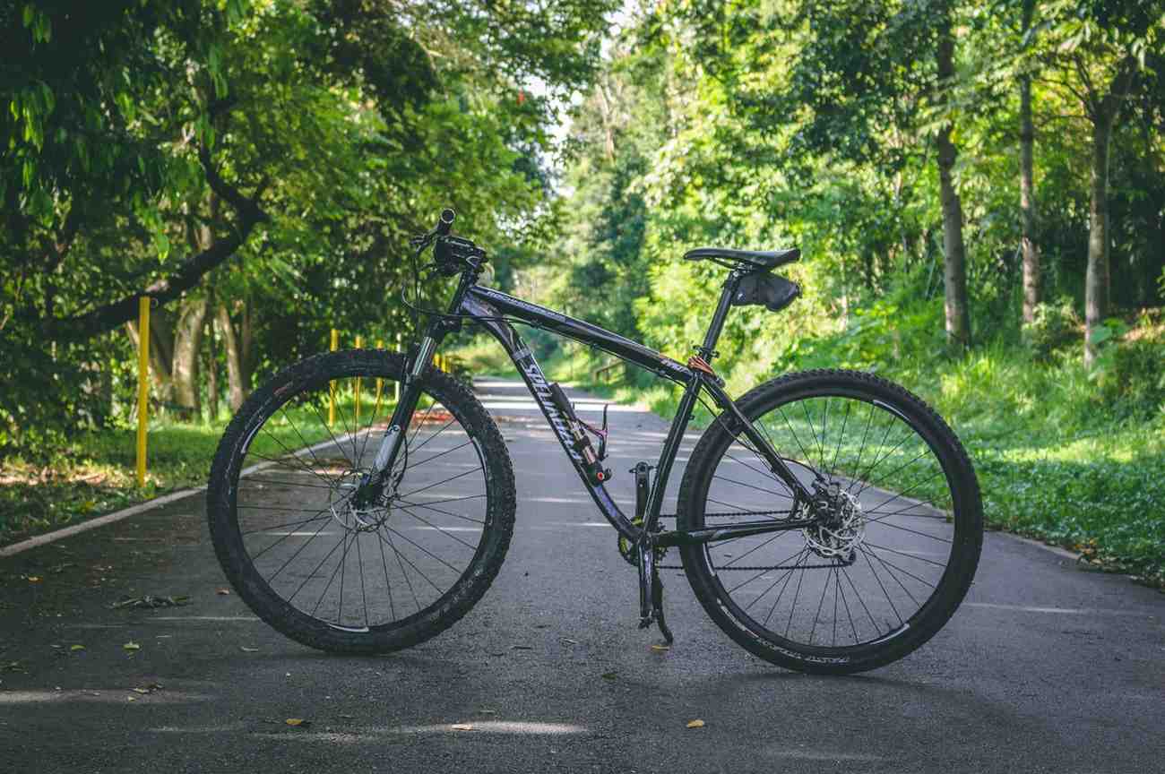 Chorus 12-Speed Shifters