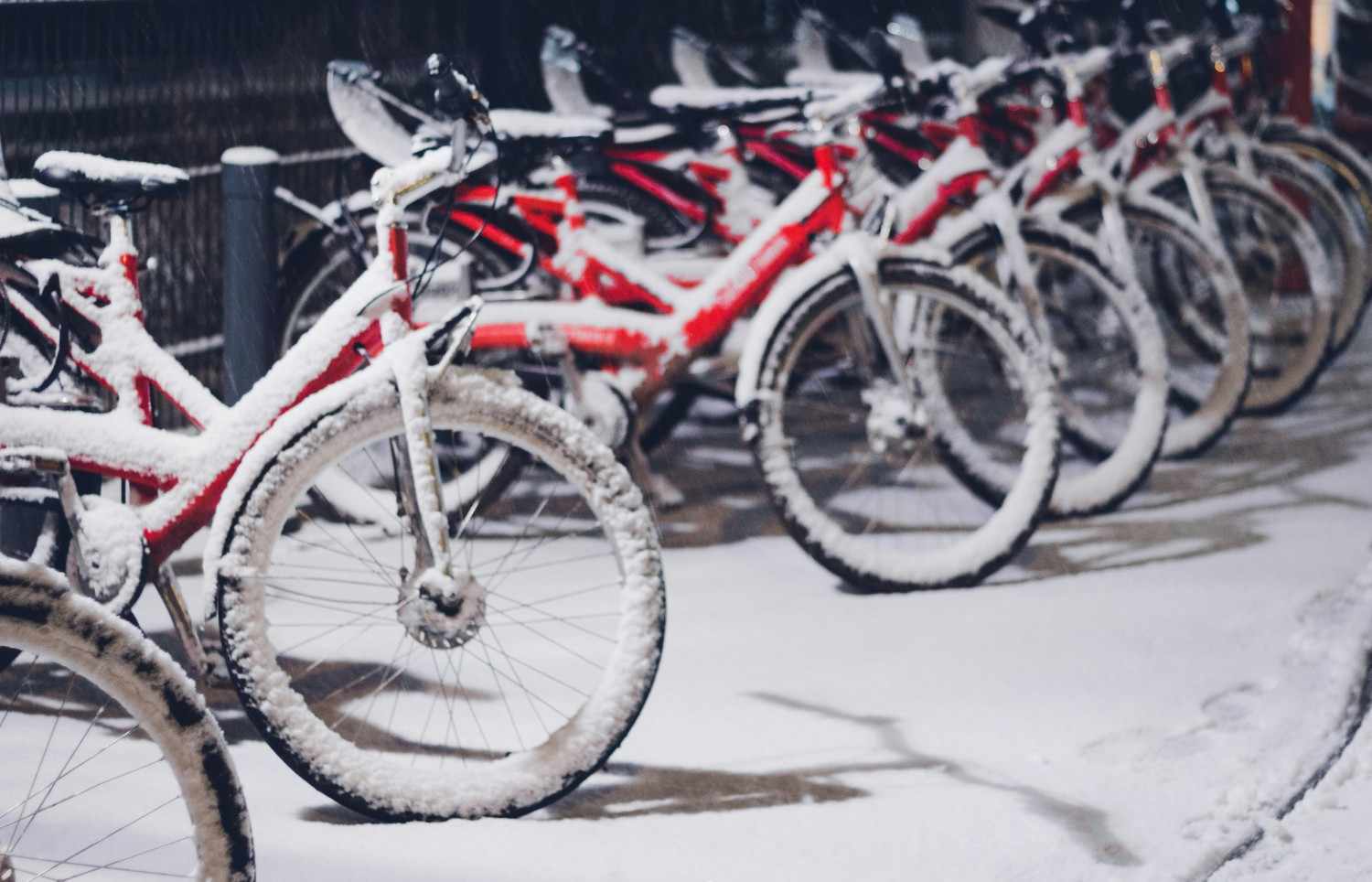 Chorus 12-Speed Shifters