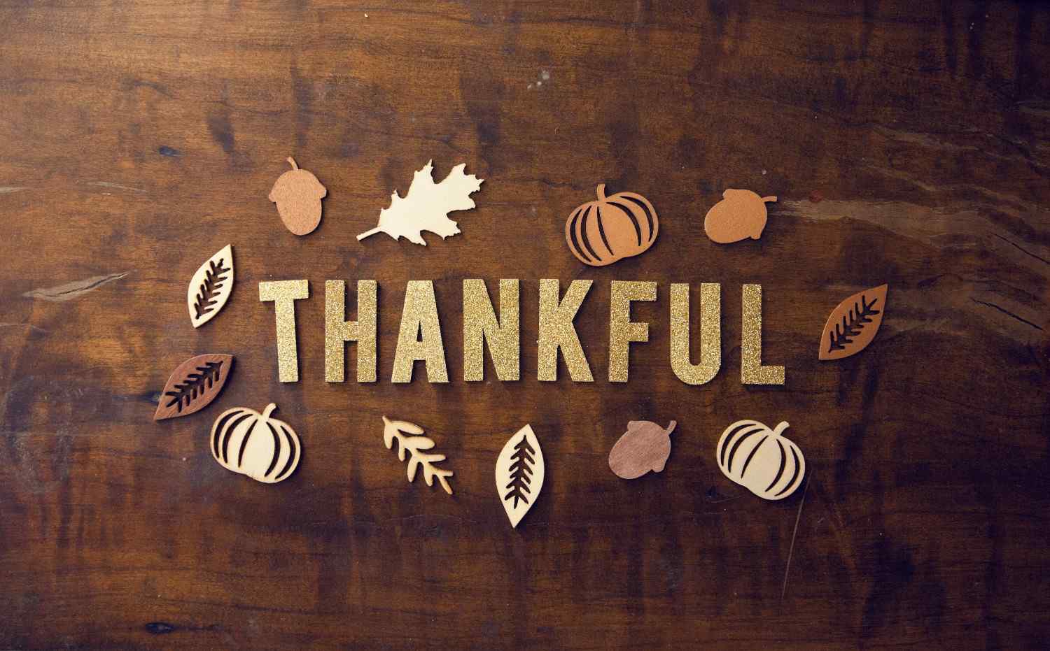 Thank You Card Set