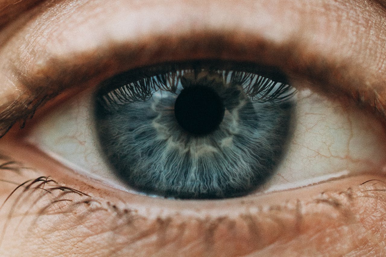 Retina & Uvea Services