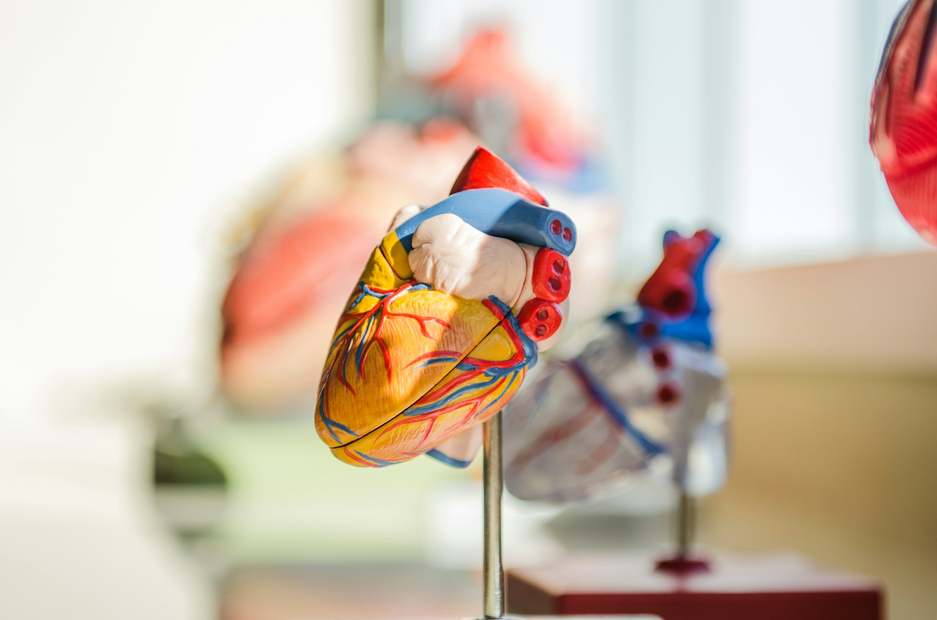 Compassionate & Collaborative Care - Your Well-being, Our United Priority