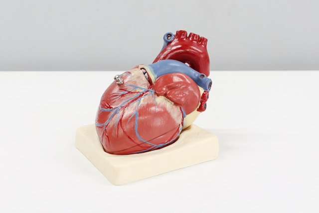 Cardiology