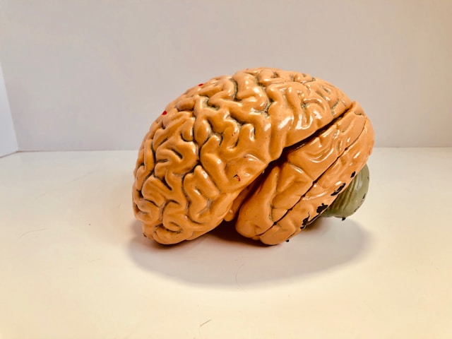 Neurology