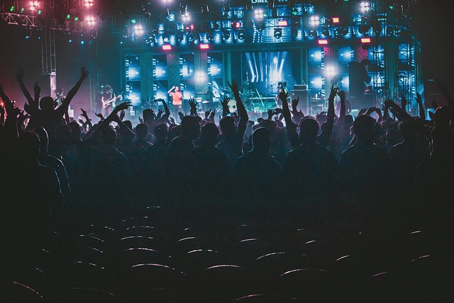 Music Festival Night