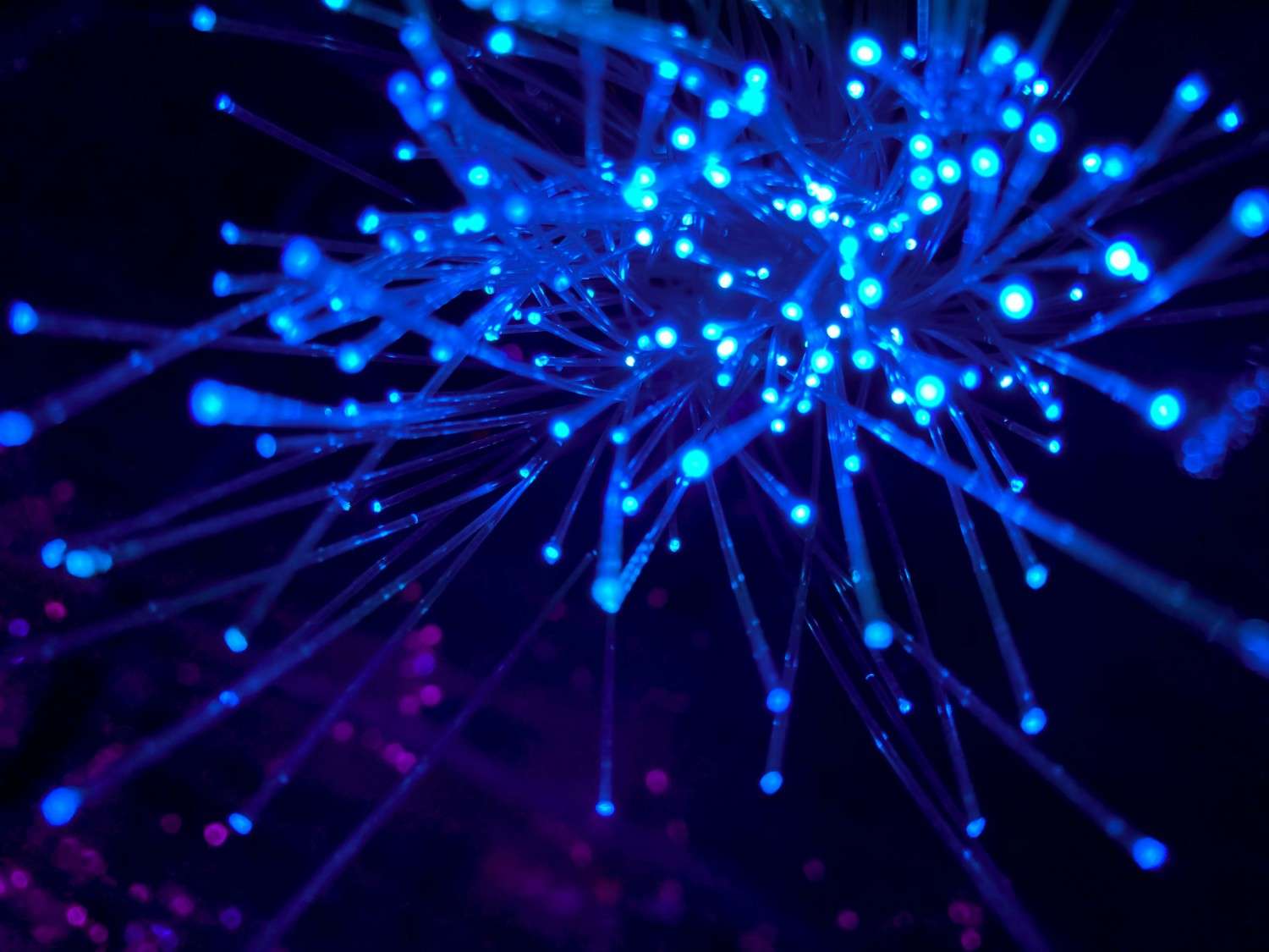 The Future of Music: Trends and Predictions