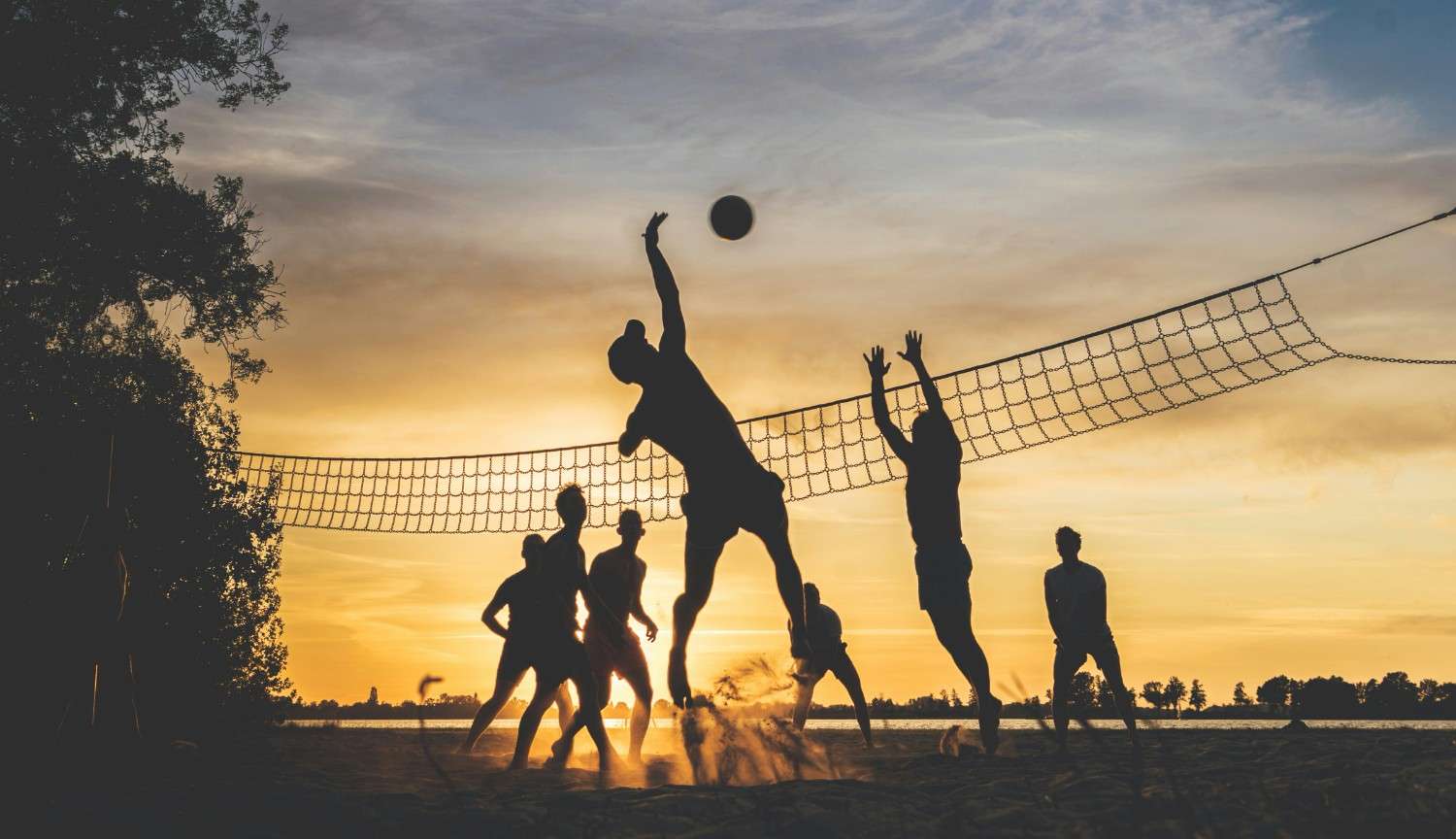 Women in Sports: Breaking Barriers