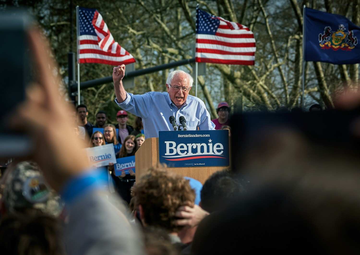 Political Strategies in the Digital Age